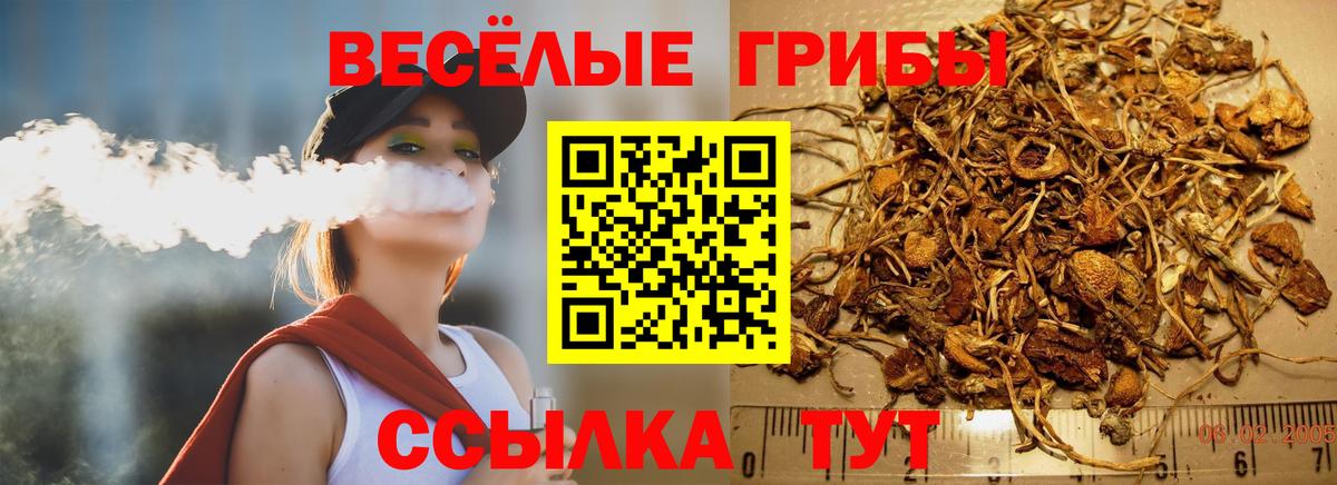 Псилоцибиновые грибы Magic Shrooms  Вход с VPN  Усть-Кут 